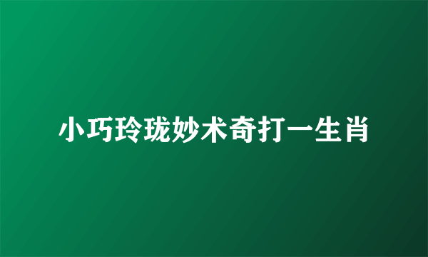 小巧玲珑妙术奇打一生肖
