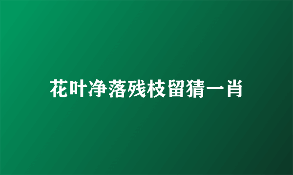 花叶净落残枝留猜一肖
