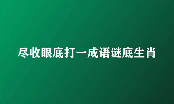 尽收眼底打一成语谜底生肖