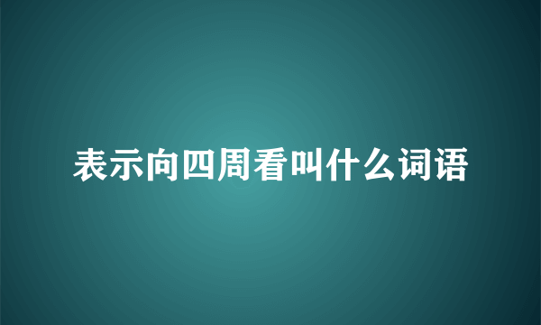 表示向四周看叫什么词语