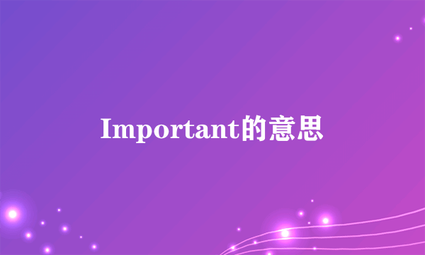 Important的意思
