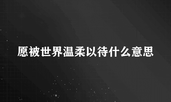愿被世界温柔以待什么意思