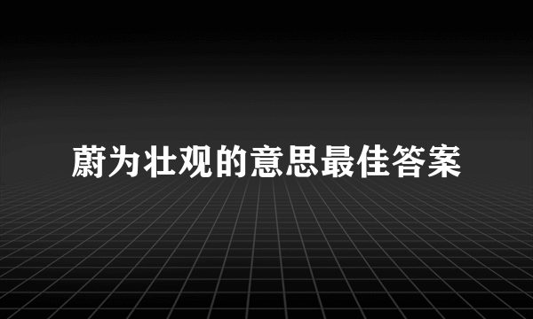 蔚为壮观的意思最佳答案