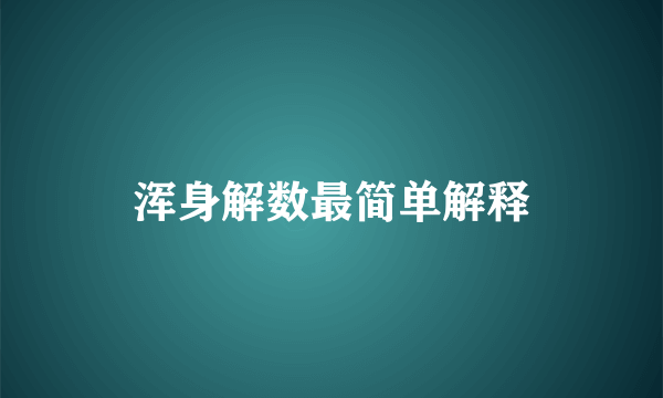 浑身解数最简单解释