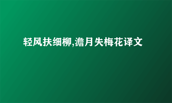轻风扶细柳,澹月失梅花译文