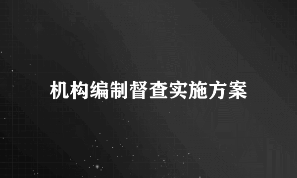 机构编制督查实施方案