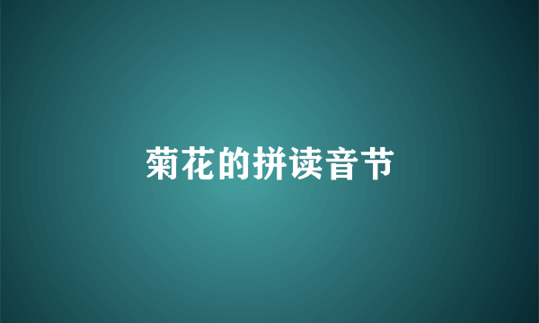 菊花的拼读音节
