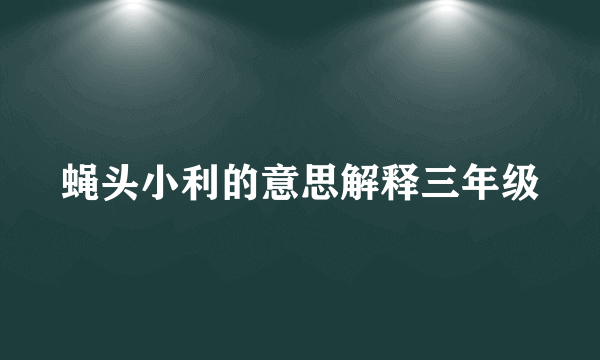 蝇头小利的意思解释三年级