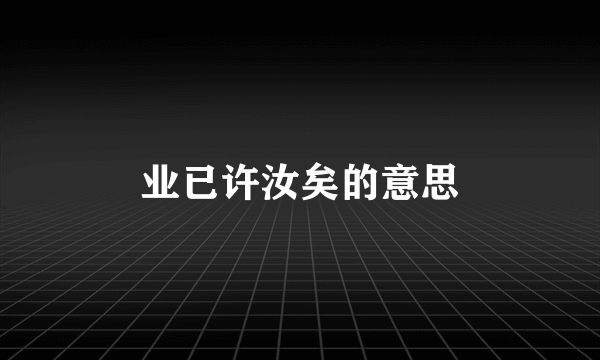 业已许汝矣的意思