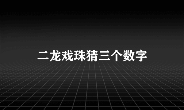 二龙戏珠猜三个数字