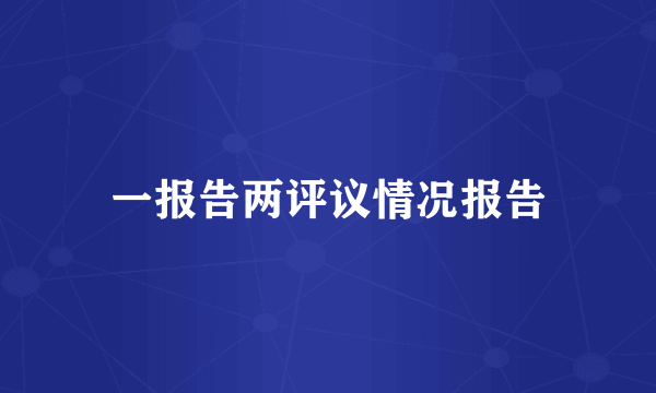 一报告两评议情况报告