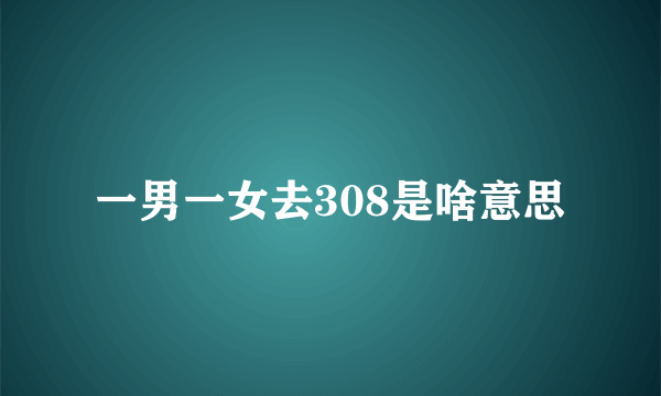 一男一女去308是啥意思