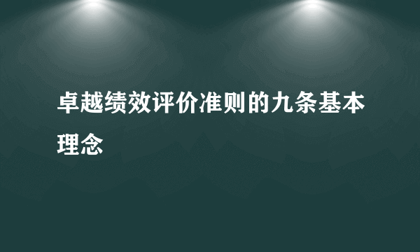 卓越绩效评价准则的九条基本理念