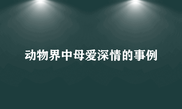 动物界中母爱深情的事例