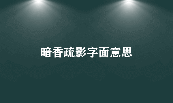 暗香疏影字面意思