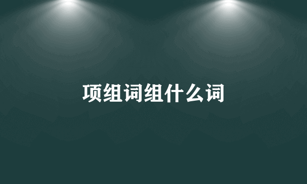 项组词组什么词