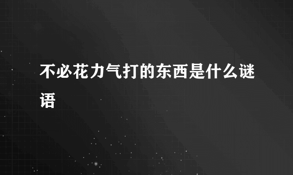不必花力气打的东西是什么谜语