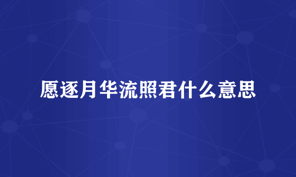 愿逐月华流照君什么意思