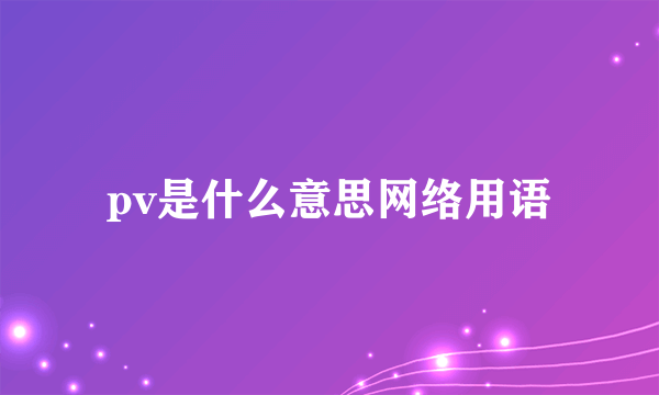 pv是什么意思网络用语