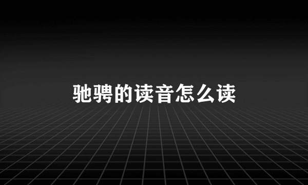 驰骋的读音怎么读