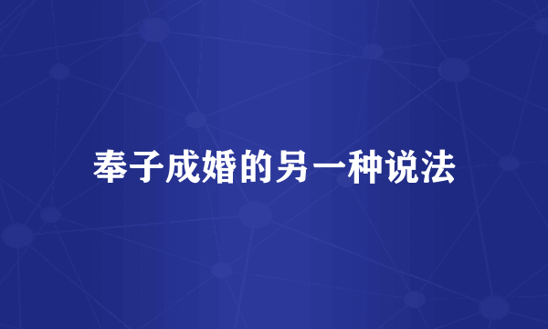奉子成婚的另一种说法