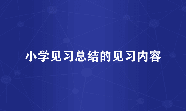 小学见习总结的见习内容