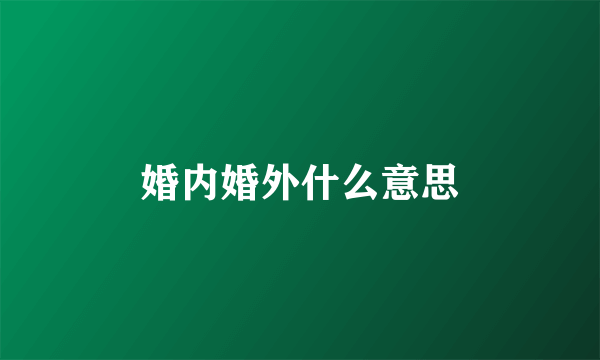 婚内婚外什么意思