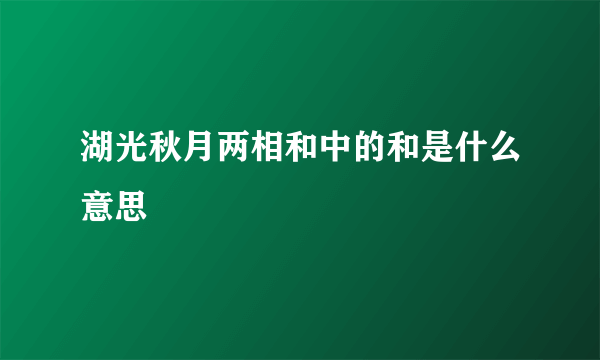湖光秋月两相和中的和是什么意思