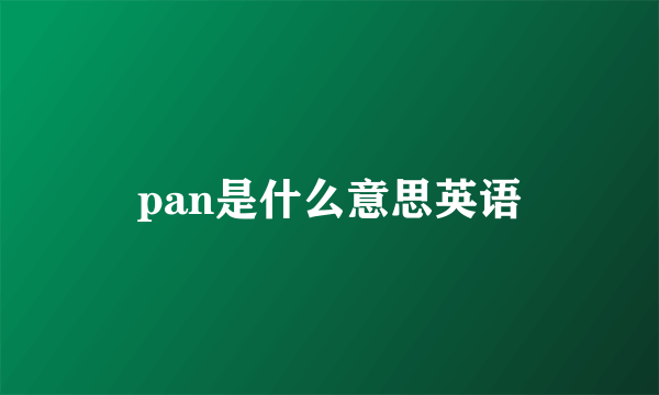 pan是什么意思英语
