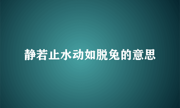 静若止水动如脱兔的意思