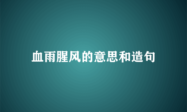 血雨腥风的意思和造句