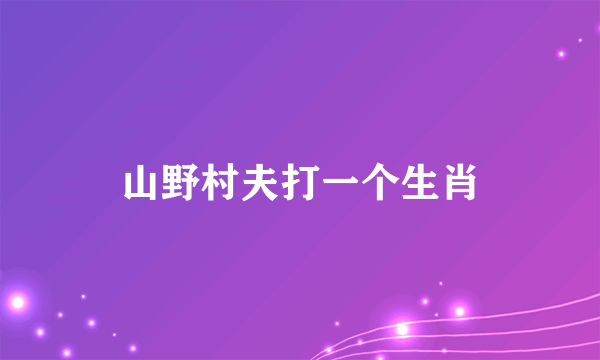 山野村夫打一个生肖