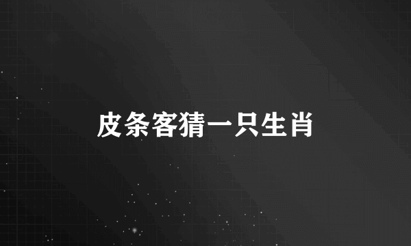 皮条客猜一只生肖