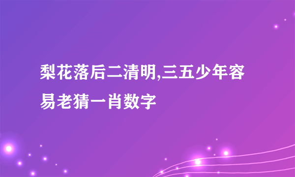 梨花落后二清明,三五少年容易老猜一肖数字