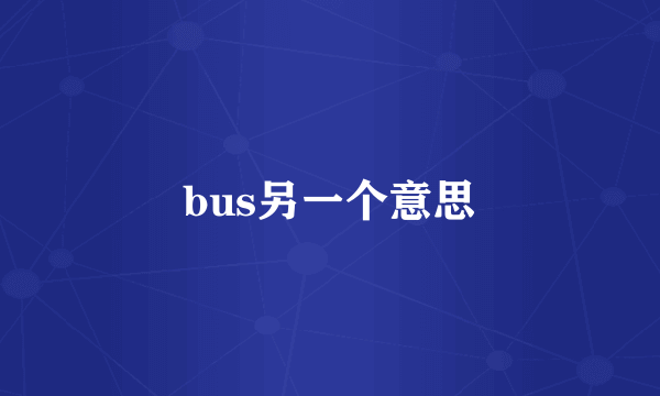 bus另一个意思