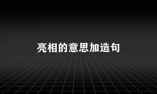 亮相的意思加造句