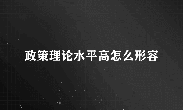 政策理论水平高怎么形容