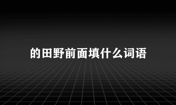 的田野前面填什么词语