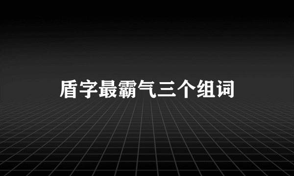 盾字最霸气三个组词