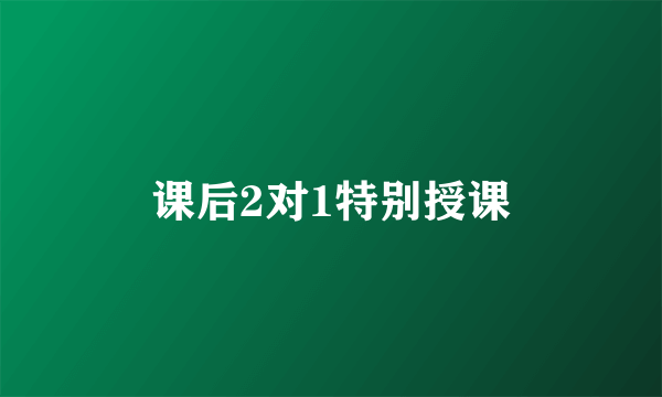 课后2对1特别授课