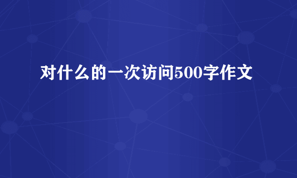 对什么的一次访问500字作文