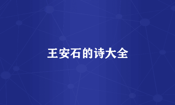 王安石的诗大全