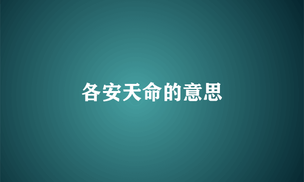 各安天命的意思