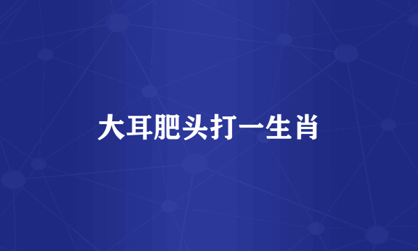 大耳肥头打一生肖
