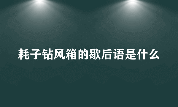 耗子钻风箱的歇后语是什么