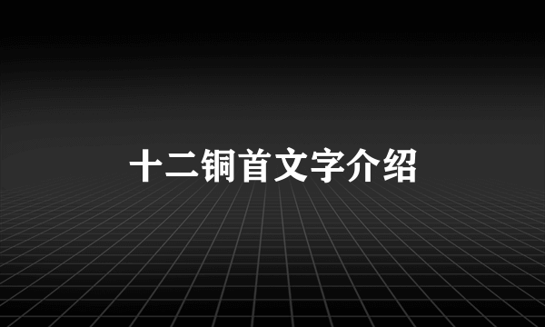 十二铜首文字介绍