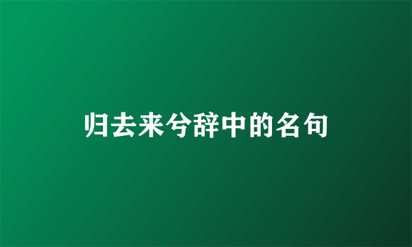 归去来兮辞中的名句