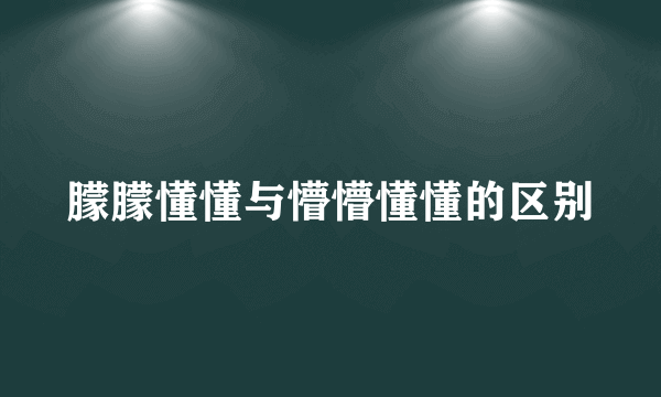 朦朦懂懂与懵懵懂懂的区别