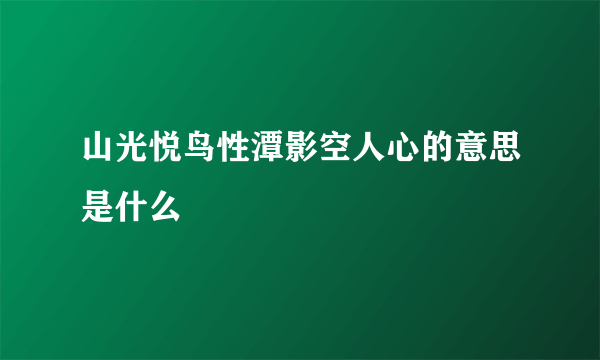 山光悦鸟性潭影空人心的意思是什么