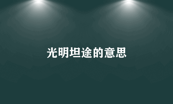 光明坦途的意思